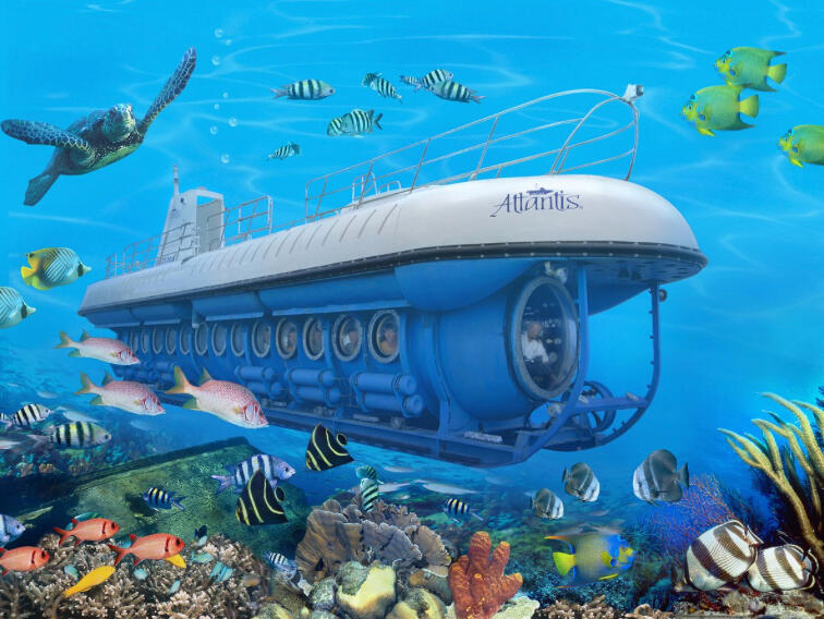 Atlantis Submarine