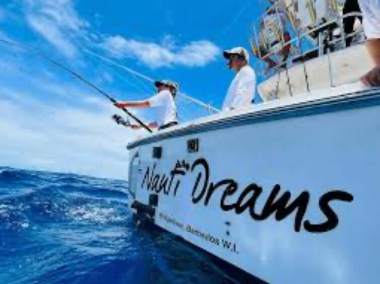Nauti Dreams