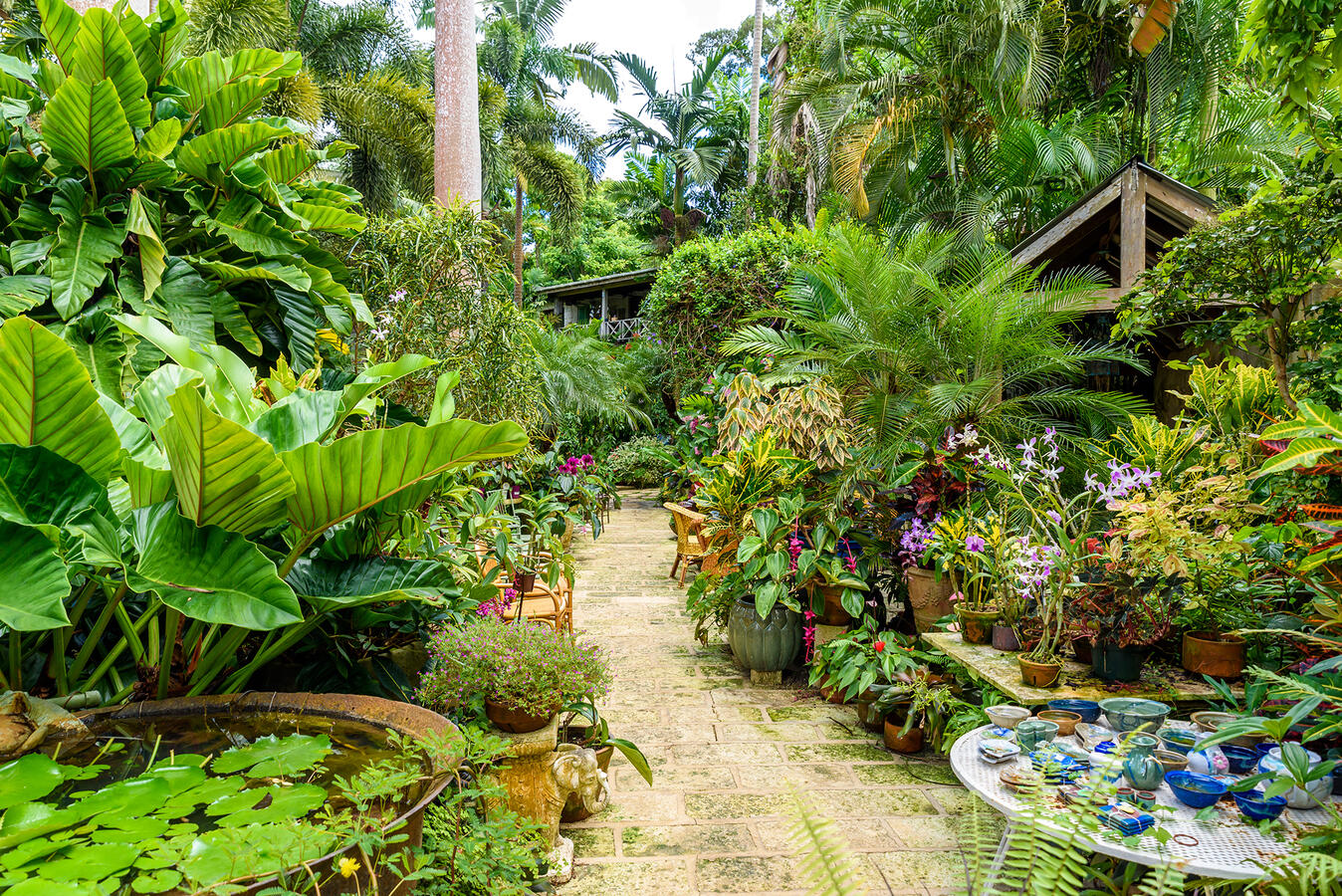 Hunte&#39;s Gardens